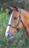 Velociti GARA Fully Adjustable Leather Headcollar