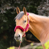 ARMA Faux Fur Headcollar & Lead Rope