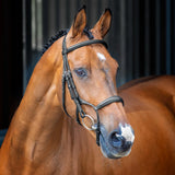 PRE ORDER LUSSO ROLLED PADDED CAVESSON BRIDLE