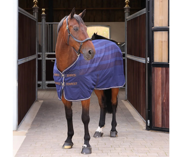 SALE Tempest Original Scrim Cooler Rug