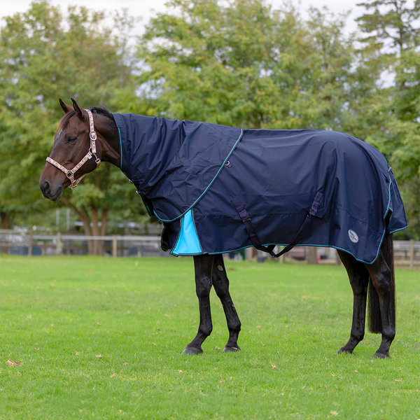 SALE Storm Buster Rain Sheet & Neck