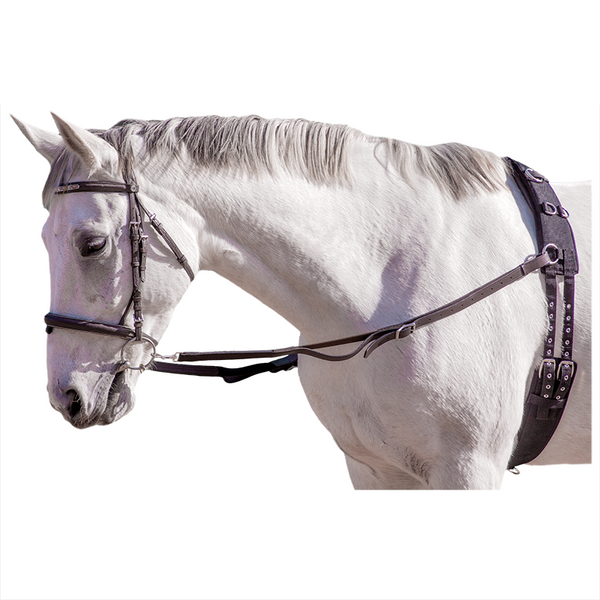Capriole Side Reins, Leather & Elastic