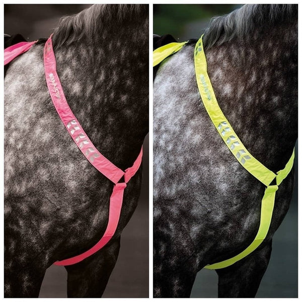 SALE Equi-Flector Breastplate - Pink Only