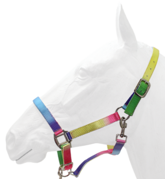 Rainbow Halter with Lead