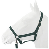 SALE Halter, Exim Economy with Lead