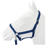 SALE Halter, Exim Economy with Lead