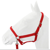 SALE Halter, Exim Economy with Lead