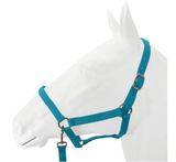 SALE Halter, Exim Economy with Lead